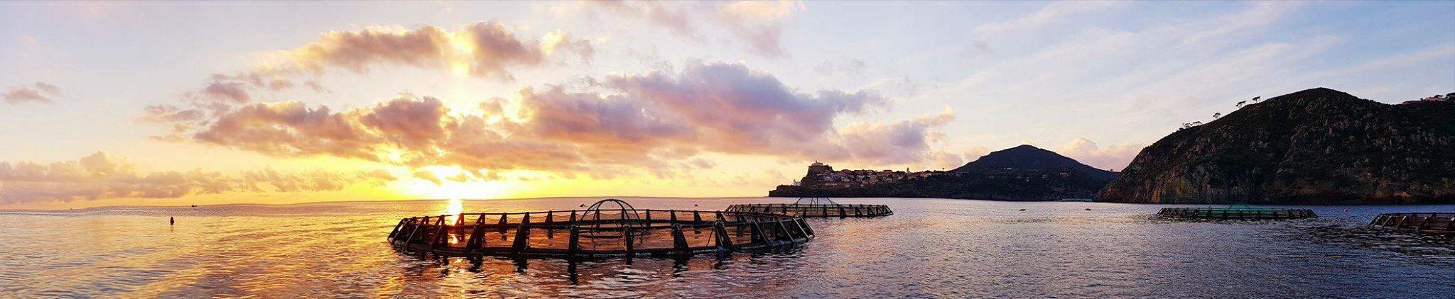 L’allevamento in mare aperto al tramonto, davanti a Capraia
